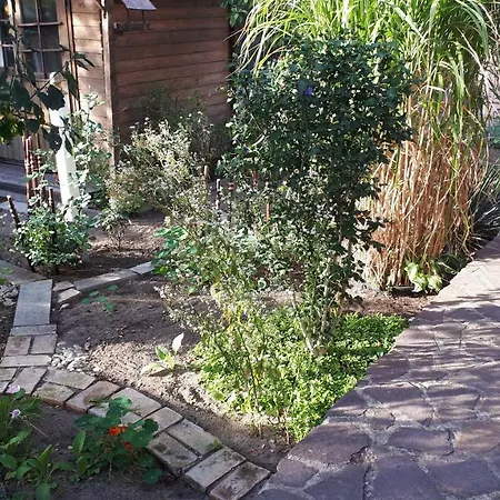 Bei Berlin Mit Terrasse Und Kleinem Garten *